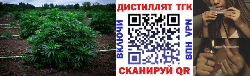 ТГК Wax  Комсомольск-на-Амуре 