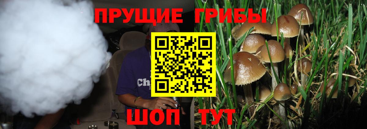 Галлюциногенные грибы мицелий  Вход с VPN  Комсомольск-на-Амуре 